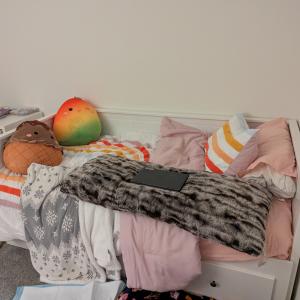 Furniture Assembly Tacoma Project