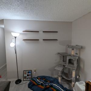 Bookshelf Assembly and Installation in Tacoma